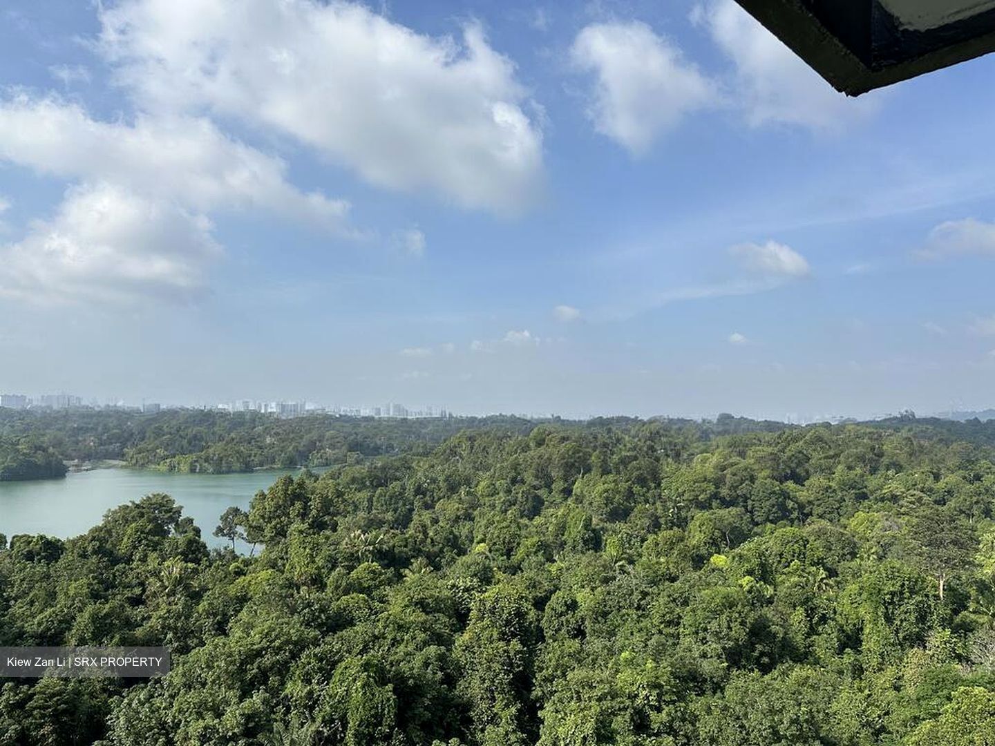 Lakeview Estate (D20), Apartment #519696371